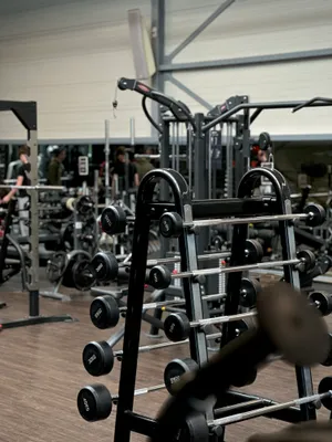Fixed barbells Millennium